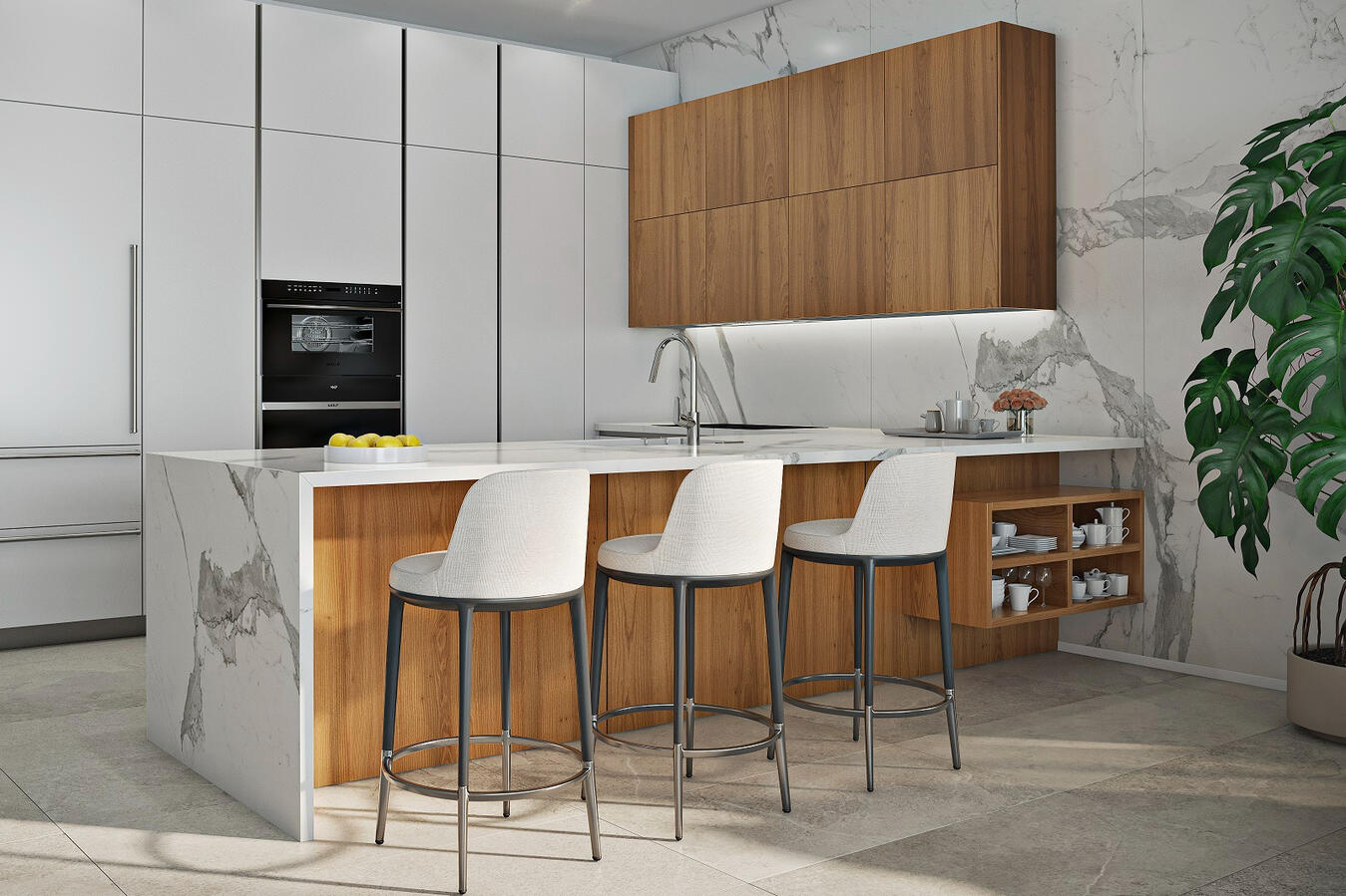 Elegant Kitchens